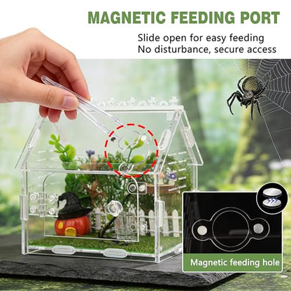 Acrylic Jumping Spider Enclosure Magnetic Lock Terrarium | Clear Acrylic Viewing, Dual Vents, Sloped Roof, 5.9x3.9x5.1", Tool-Free Assembly