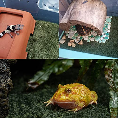 kathson 2 PCS Reptile Carpet Mat Terrarium Bedding Substrate Liner Mat Imitation Rainforest Crawler Mats for Snakes Bearded Dragon Gecko Chameleon Turtles Iguana（23.62 X 15.74 in） - color: 2PCS（XL）：23.62 X 15.74 in
