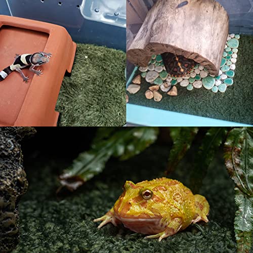 kathson 2 PCS Reptile Carpet Mat Terrarium Bedding Substrate Liner Mat Imitation Rainforest Crawler Mats for Snakes Bearded Dragon Gecko Chameleon Turtles Iguana（23.62 X 15.74 in） - color: 2PCS（XL）：23.62 X 15.74 in