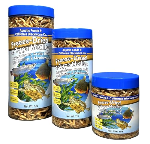 4-Type Medley Freeze Dried Superworms, Krill, Shrimp, Mealworms... 2oz Can - size: 2 Ounce (Pack of 1)