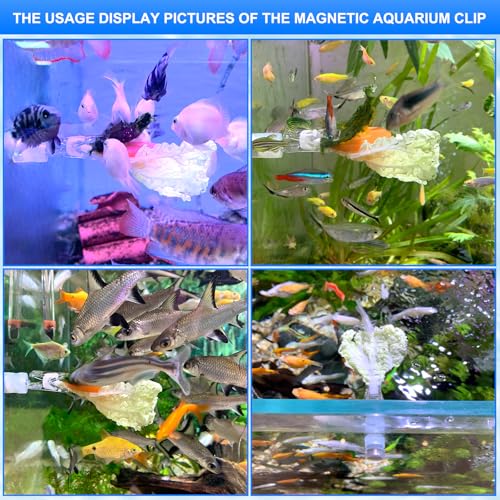 Waterproof Magnetic Seaweed Clip for Saltwater Fish Feeding nori Clip Aquariums Magnet Veggie Feeder Plant clamp Fish Accessories—Patented Product (1pcs Magnetic Veggie Clip) - size: 1pcs magnetic veggie clip