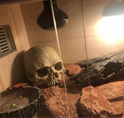 AWXZOM Desert Reptile Skull Fish Tank Decorations - Bearded Dragon Accessories, Snake Tank Decor (Human + Dinosaur)