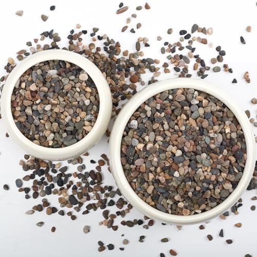 10LB Natural River Rocks, 1/4" Aquarium Gravel, Small Pebbles for Plants, Pea Gravel for Fish Tanks, Decorative Rocks for Gardening, Flower Pots, Vase Fillers, Indoor Fountains (10 LBS) - color: 10 LBS