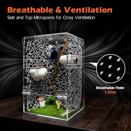 AZV Jumping Spider Enclosure Clouds Kit,Escape Proof Praying Mantis Habitat | Magnetic Front Door Tarantula Terrarium Ventilation Spider Cage,Transparent Acrylic Reptile Tank Beetle,Bug Cribs,Snail House - color: White, size: Large