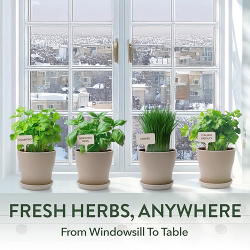 HOME GROWN Herb Garden Planter Indoor Kit – Unique Christmas Gift for Adults, Men, & Women - Grow 4 Heirloom Herb Seeds on Kitchen Window – Beginner DIY Craft & Hobby Gardening Gift for Plant Lovers - style: Starter Herb Grow Kit