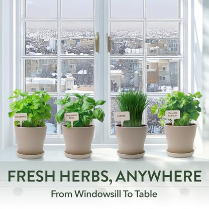 HOME GROWN Herb Garden Planter Indoor Kit – Unique Christmas Gift for Adults, Men, & Women - Grow 4 Heirloom Herb Seeds on Kitchen Window – Beginner DIY Craft & Hobby Gardening Gift for Plant Lovers - style: Starter Herb Grow Kit