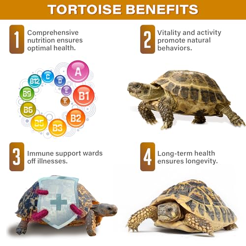 Gargeer 3oz Grassland Tortoise Multivitamins & Minerals Powder. Made in USA | High-fiber multivitamin & mineral topper! Timothy hay powder, probiotics & calcium support grassland tortoise digestion