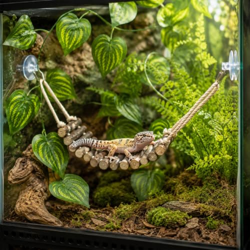 17 Pcs Bearded Dragon Tank Accessories Hermit Crab Accessories Natural Habitat Toy Artificial Moss and Plants Suction Cups for Lizard Chameleon Leopard Gecko Reptile Amphibian Tank Decoration - style: Mossy Style