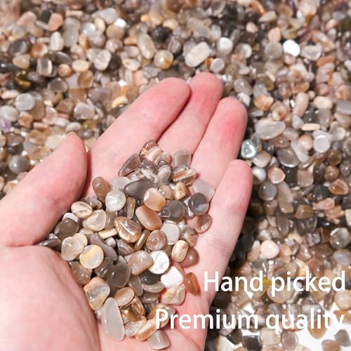 Black Moonstone Chips Bulk 1lb, 850+ Pieces, 5-8mm Natural Gemstones - color: Black Moonstone, size: 1LB