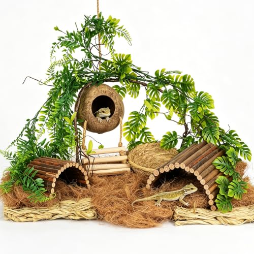 10PCS Crested Gecko Tank Accessories, Leopard Gecko Tank Accessories | Reptile Tank Accessories Kit, Coconut Hide for Crested Gecko/Leopard Gecko/Lizard/Snake/Hermit Crab/Chameleon Terrarium Decor