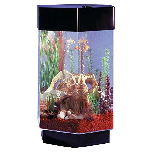 Fountain AquaScape 8 Gallon Hexagon Aquarium