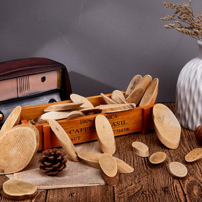 SUPERFINDINGS 300g Natural Driftwood Pieces DIY Dried Wood Sticks Oval Wooden Craft Slices Frames Wreath Surf Art Beach Decor for Crafting Card Making Embellishments Photo Props