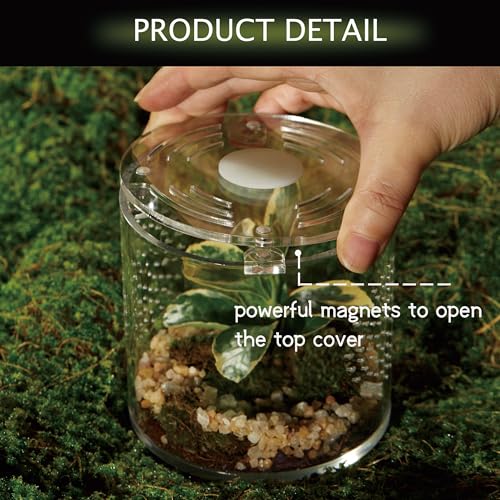 Acrylic Terrarium for Reptiles & Spiders – Small/Medium/Large Leak-Proof Enclosure (Horizontal/Vertical) | Ideal for Tarantulas, Jumping Spiders, Frogs & Geckos(Small, Round) - size: Small