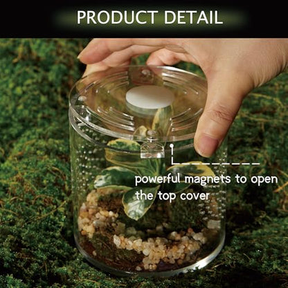 Acrylic Terrarium for Reptiles & Spiders – Small/Medium/Large Leak-Proof Enclosure (Horizontal/Vertical) | Ideal for Tarantulas, Jumping Spiders, Frogs & Geckos(Small, Round) - size: Small