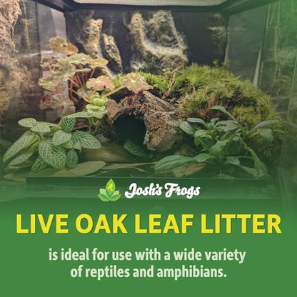 Josh's Frogs Organic Live Oak Leaf Litter, 1 Gallon/500 Leaves | USA Collected