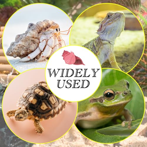 Hermit Crab Climbing Toys Set, Seagrass Hammocks Reptile Ladder Bridge Set Ornamental Fake Grass, Hermit Crab Habitat Tank Accessories, Also for Lizard Hamster Guinea Pig Rats