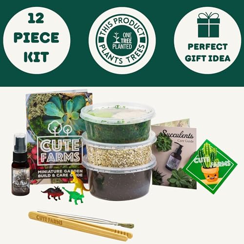 Terrarium Starter Kit | Moss, Vermiculite, Soil, Pebbles, Plant Food, Finishing Tools, Build and Care Guide | DIY Succulent Terrarium (Small) - size: Small Kit