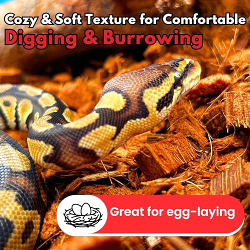 Gro-Med ReptiCare Compressed Coconut Chip Substrate for Reptiles 64 Quart Coco Husk Bedding Block for Ball Pythons, Snakes, Tortoises, Crested Geckos, Frogs, Hermit Crabs or Lizard Terrarium Tanks