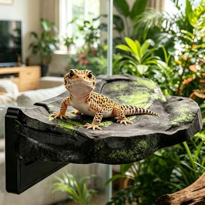 Magnetic Reptile Climbing Ledge, Rock Small Animals Basking Platform | Wall Mount, Detachable, Strong Magnetic Attachment, Vertical Space Saving - size: L