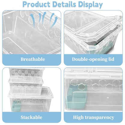 PINVNBY Reptile Feeding Box 6 PCS Snake Breeding Box Lizard Cricket Cage Habitat Hatching Container Transparent Portable Critter Keeper for Spider Scorpion Gecko Tortoise Treefrog (2 Large 4 Small)