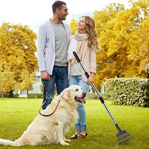 Pooper Scooper for Dogs, Metal Poop Scooper Tray and Rake Set with Adjustable Long Handle, Dog Pooper Scooper for Pet Waste Removal - color: Silver & Black