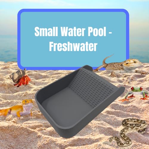 Hermit Crab Watering Pool | Platform Pool Accessory with Access Ramp for Hermit Crabs | 6.5" x 4" | Made in USA (Fresh Only, Gray) - color: Fresh Only, Gray