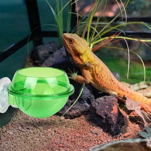 Reptile Feeding Bowl Suction Cup Anti-Escape Food Dish | Anti-Escape Worm Live Fodder Translucent Container for Lizard Gecko Snake Frog Turtle Tortoise Spider Habitat