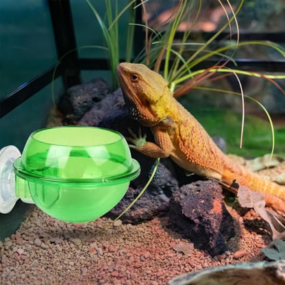 Reptile Feeding Bowl Suction Cup Anti-Escape Food Dish | Anti-Escape Worm Live Fodder Translucent Container for Lizard Gecko Snake Frog Turtle Tortoise Spider Habitat