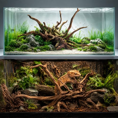 emours Natural Aquarium Driftwood, Horizontal Root Style Wood for Fish Tank Decor, Unique Driftwood for Aquascape, Terrarium and Reptile Display (8-12" (20-30 cm)) - size: 8-12" (20-30 cm)