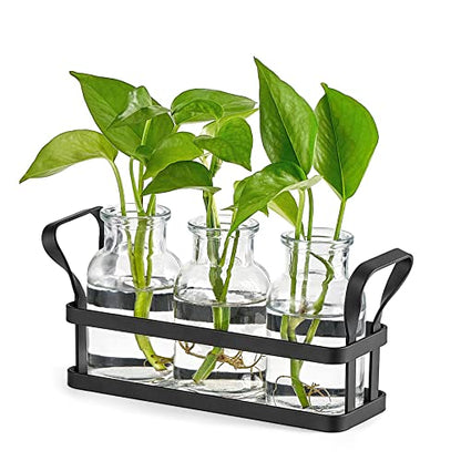 Mkono Propagation Stations, 3 Jars Desktop Glass Plant Terrarium with Stand | Flower Vase, Hydroponic Cuttings, Easy Water Refill,Clear Root View Planter,Farmhouse Home Office Decor, Gardening Lover Gift - size: Medium