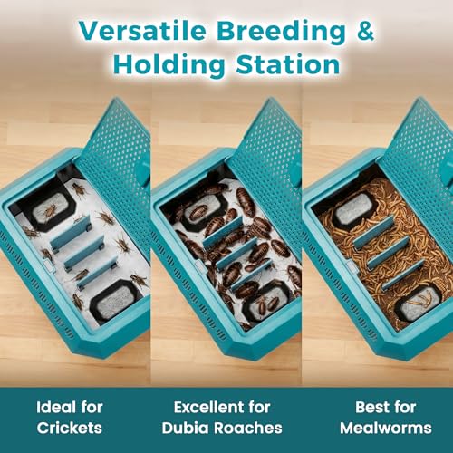 Cricket Keeper for Reptiles,Dubia Roach Container | Multi Purpose Insect Habitat with Tongs for Dubia Roaches,Crickets and Other Reptile,Cricket Cage with Ventilation