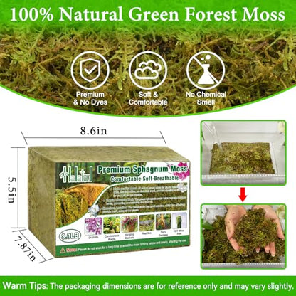 Halatool 3.3 LB Natural Green Forest Moss, Long Fiber Dried Sphagnum Moss | No Dyes, Water Retention & Areation, Dried Orchid Moss for Potted Plants Indoor & Outdoor, Orchids Repotting, Terrariums - size: 3.3 lb