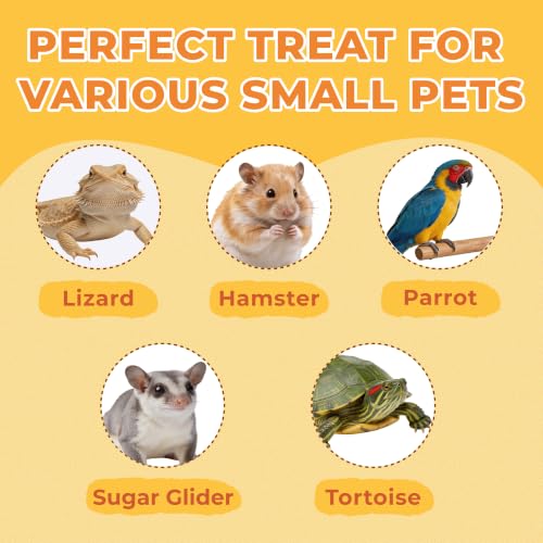 Zoody Dried Superworms Hamster Treats for Parakeets, Chickens 3.5 OZ | Natural High Protein Parakeet Treats, Hamster Snacks, Hedgehogs, Sugar Gliders, Reptiles & Small Animals, Crunchy & Tasty.