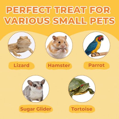 Zoody Dried Superworms Hamster Treats for Parakeets, Chickens 3.5 OZ | Natural High Protein Parakeet Treats, Hamster Snacks, Hedgehogs, Sugar Gliders, Reptiles & Small Animals, Crunchy & Tasty.