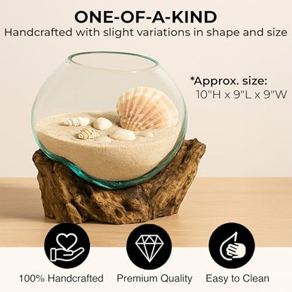 Cape Craftsmen 10" Hand-Blown Blue Tinted Bubble Glass On Natural Teak Driftwood Terrarium Kit | Home Décor Indoor Planter with Stand | Pot for Succulent and Plants - size: Medium (With Stand)