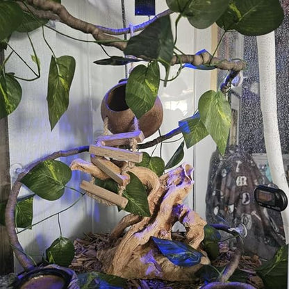 7PCS Crested Gecko Tank Accessories,Natural Leopard Gecko Coconut Hut with Ladder Plastic Leaf Platform for Reptile Wooden Bridge Lizard Hammock Hanging Plants Jungle Vines Flexible Leaves Decor - style: 【Style E】