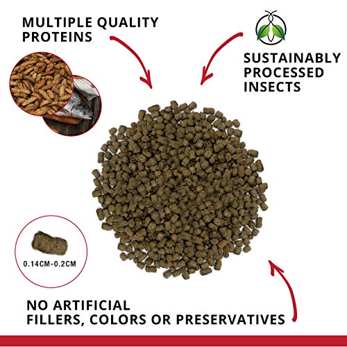 Fluval Bug Bites Cichlid Fish Food, 15.8 oz. | Granules for Small to Medium Sized Fish - size: 15.8 Ounce (Pack of 1)