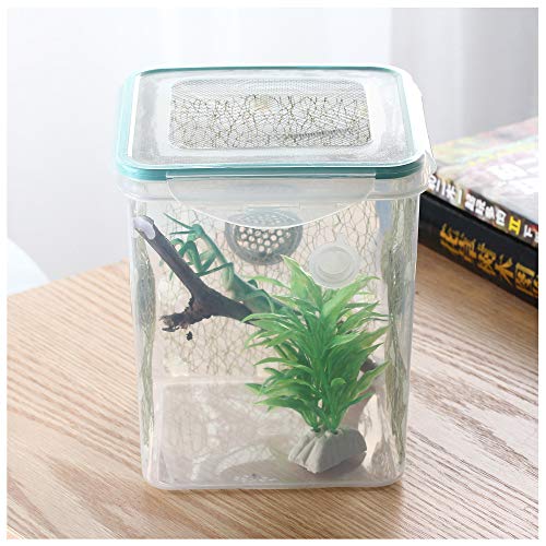 Ventilated Mantis Insect Habitat Kit, 6.2 x 6.2 x 7 in | 1.16 US Gal Bug Catcher Cage for Caterpillar, Cricket and Small Insects, Multi-Side Airflow, Animals Not Included