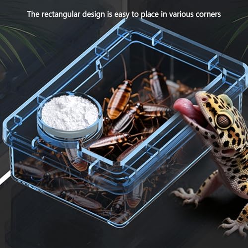 Reptile Food Dish Bearded Dragon Water Bowl | Reptile Amphibian Habitat Feeders for Leopard Cage Tank Terrarium Enclosure Frog Lizard Gecko