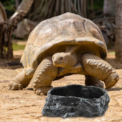Reptile Water Bowl and Food Feeder, Bark Texture Design, Sturdy Water Container for Tortoise and Lizard Habitat, Suitable for Geckos and Amphibians