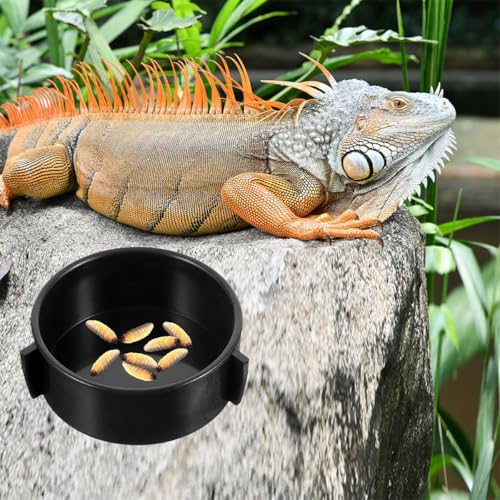 4Pcs Ceramic Reptile Food Bowls and Water Dishes Multi-Function Worm Dish for Lizards Bearded Dragons Terrarium Feeding Accessories