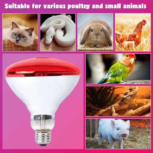 LUCKY HERP Infrared Heat Lamp for Chickens, 250 Watt Red Heat Lamp Bulb, 2 Pack Heat Light Bulb, Brooder Heat Lamp for Chicks Coop, Reptiles, Amphibian, Pet, Food Service