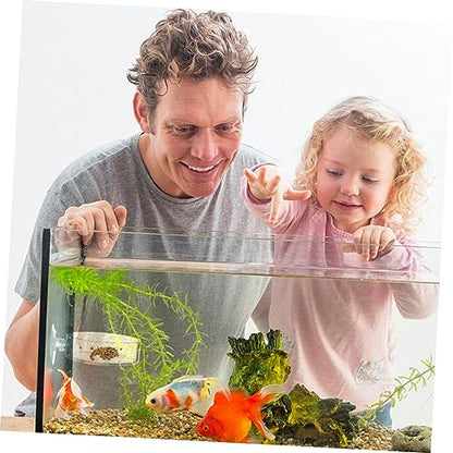 6pcs Cup Feeding Dish for Reptiles and Fish Food Trays for Aquatic Supplies Easy to Install and Clean for Freshwater Environments