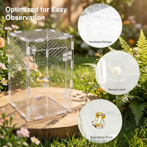 Jumping Spider Enclosure, Acrylic Terrarium for Tarantula & Reptiles, Front Opening Door Habitat for Spiders, Mantis, Frogs & Lizards (10x6x6 Inch)