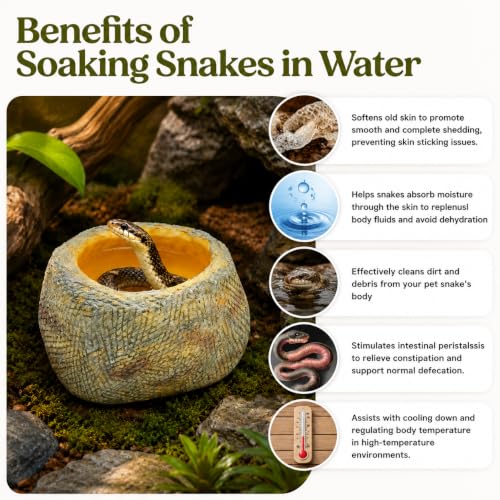 Snake Bathing Pool, Reptile Water Bowl, Bath Tub for Ball Python, Bearded Dragon, Gecko, Lizard, Soaking Pool for Reptile Habitat, Terrarium, Reptile Accessories