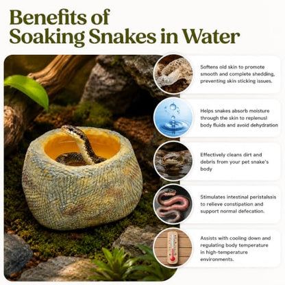 Snake Bathing Pool, Reptile Water Bowl, Bath Tub for Ball Python, Bearded Dragon, Gecko, Lizard, Soaking Pool for Reptile Habitat, Terrarium, Reptile Accessories