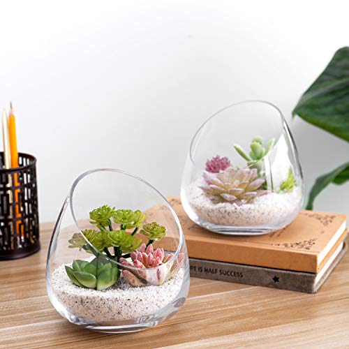 MyGift 5 Inch Premium Clear Glass Air Plant Terrarium, Mini Candy Bowl Jar, Tealight Candle Holder, Succulent Cactus Plant Vase, Set of 2 - size: Set of 2
