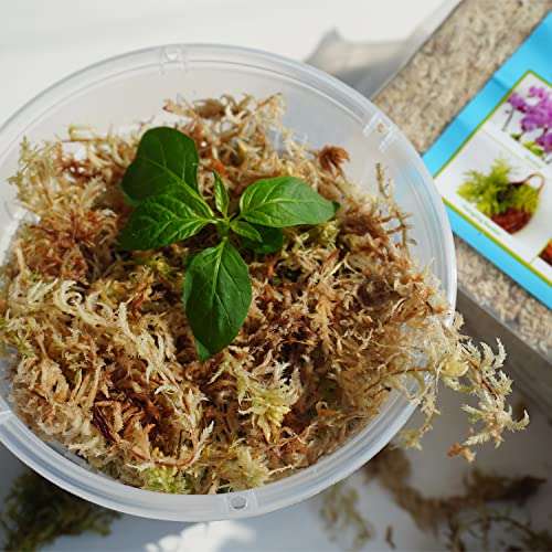 Sphagnum Moss 1.2 lb for DIY Moss Pole, Great Potting Mix for Indoor Plants, Help with Maintain Humidity - size: 1.2 lb