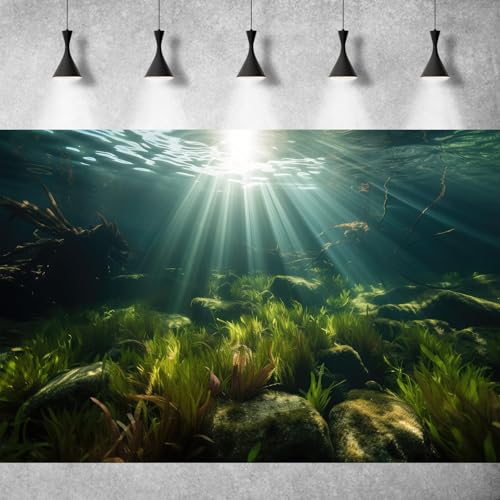 Underwater Aquarium Background Under The Sea Aquatic Grass with Sunbeams Terrarium Background Underwater Rocks with Moss Fish Tank Background Tranquil Natural Underwater Seascape Backdrop 24x12in - color: Oecan Dark Green, size: 24(W)x12(H)in