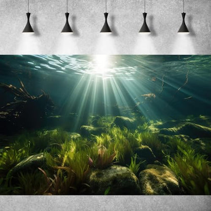 Underwater Aquarium Background Under The Sea Aquatic Grass with Sunbeams Terrarium Background Underwater Rocks with Moss Fish Tank Background Tranquil Natural Underwater Seascape Backdrop 24x12in - color: Oecan Dark Green, size: 24(W)x12(H)in